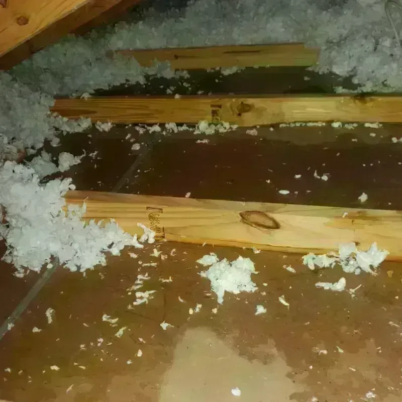 Attic Water Damage in San Saba County, TX